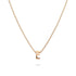 Initials Brick Alphabet Letter Necklace Rose Gold Layered Steel Jewellery